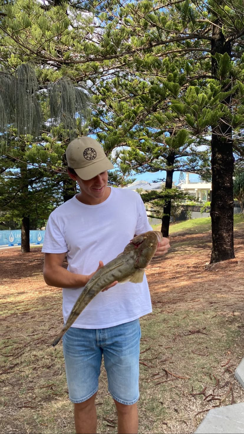 c214a8a1 0c39 44ed a035 e7a6030dcc54